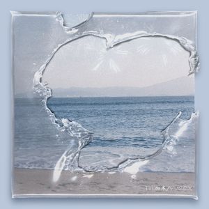 鉴定师在线观看免费网站
