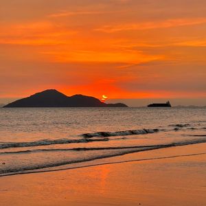 鉴定师在线观看免费网站
